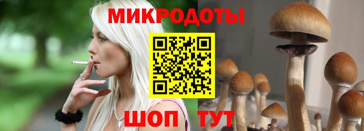 Галлюциногенные грибы ЛСД Воркута